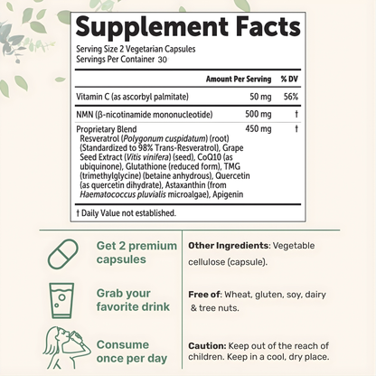 Pure NMN 10 in 1 Capsules