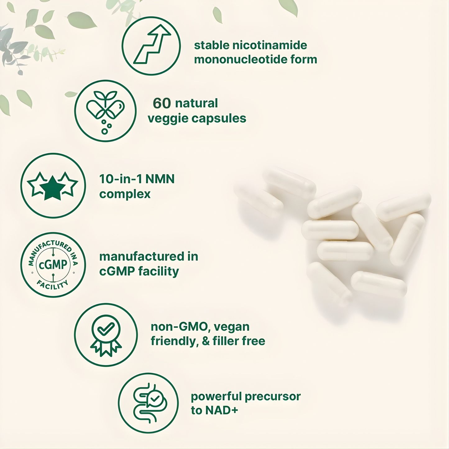 Pure NMN 10 in 1 Capsules